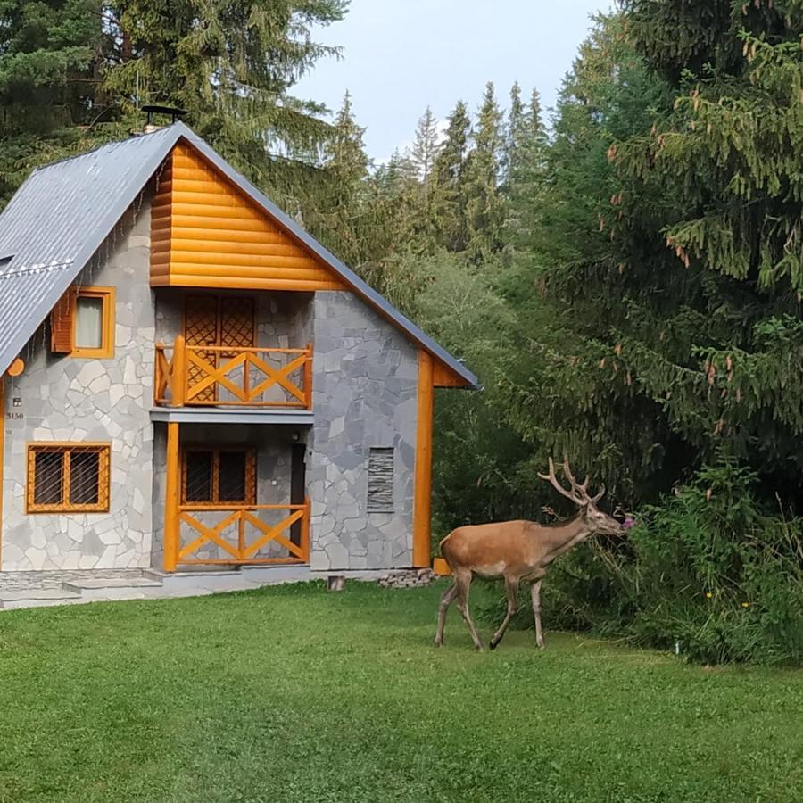 Chata Tatry Tatranska Strba Esterno foto